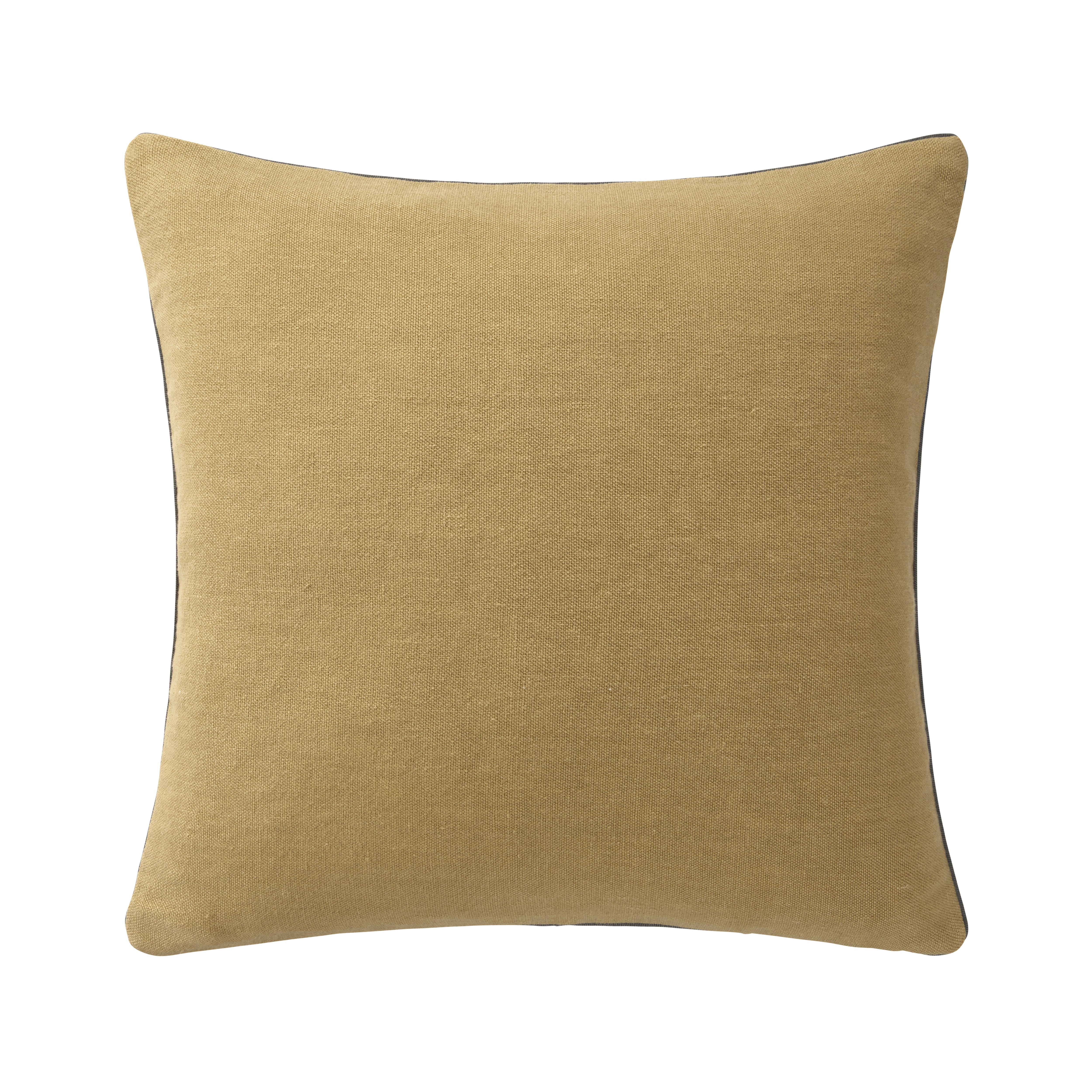 Iosis Pigment Accent Pillow