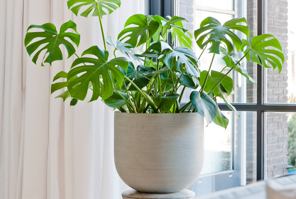 Cody Horizontal Ridged Planter