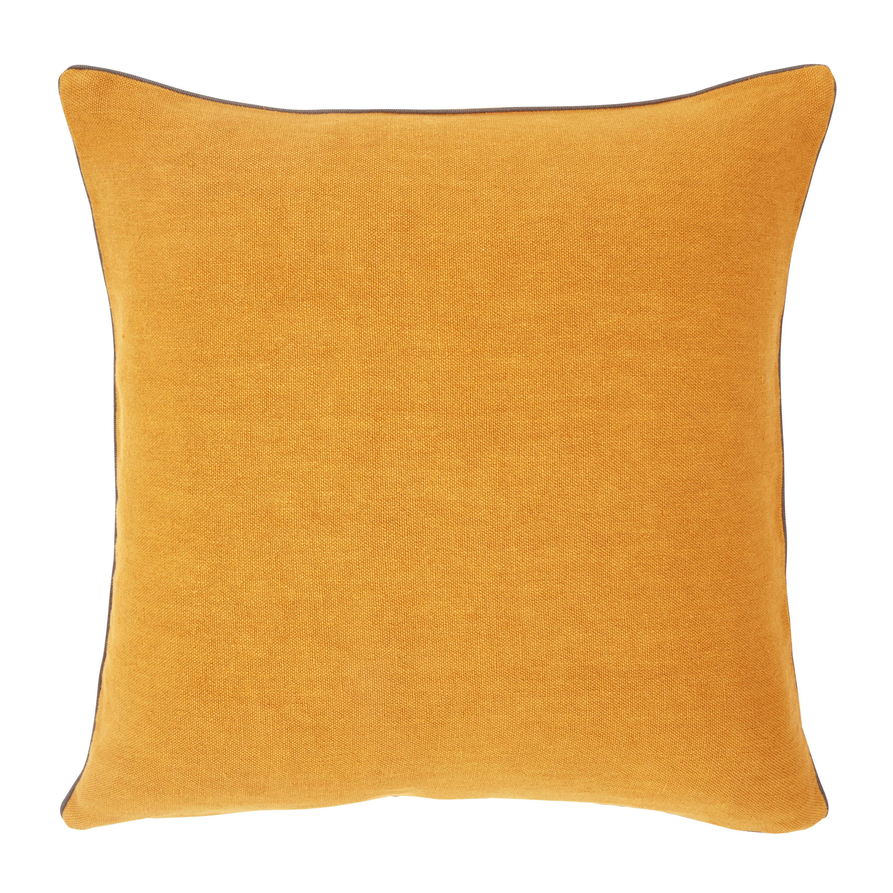 Iosis Pigment Accent Pillow