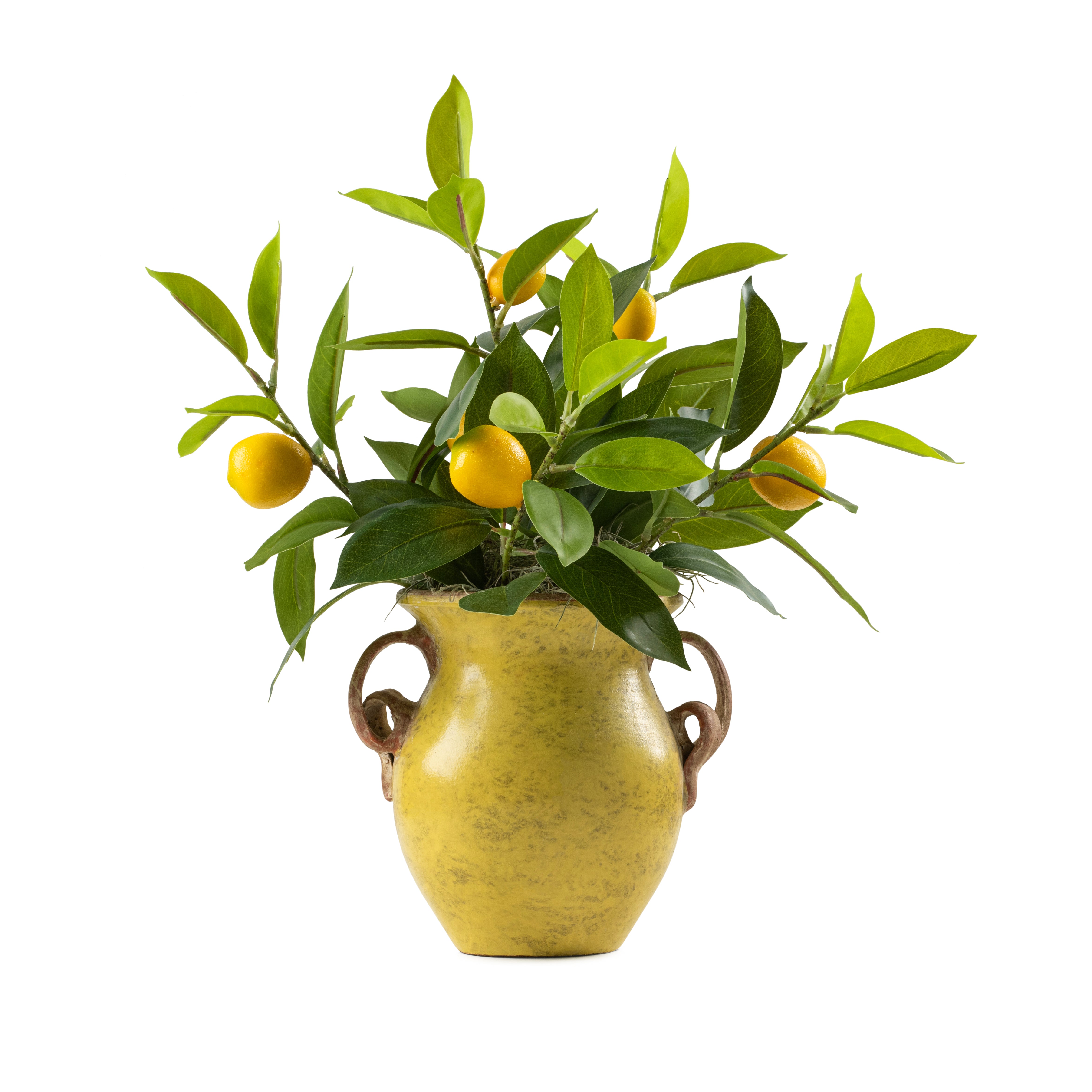 DH Lemons in Mustard Pottery Vase With Handles