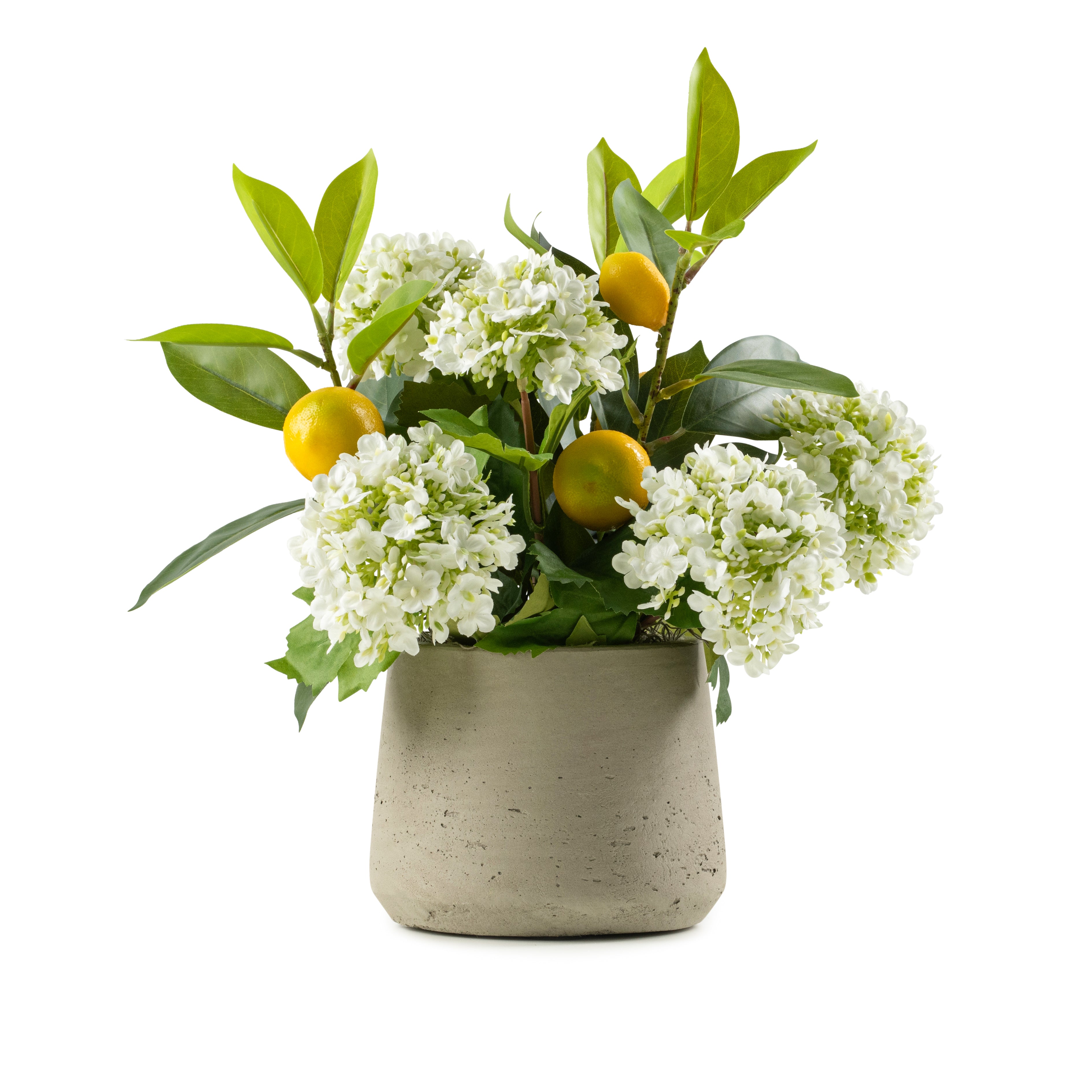DH Lemons and White Buds in Grey Patt Pot