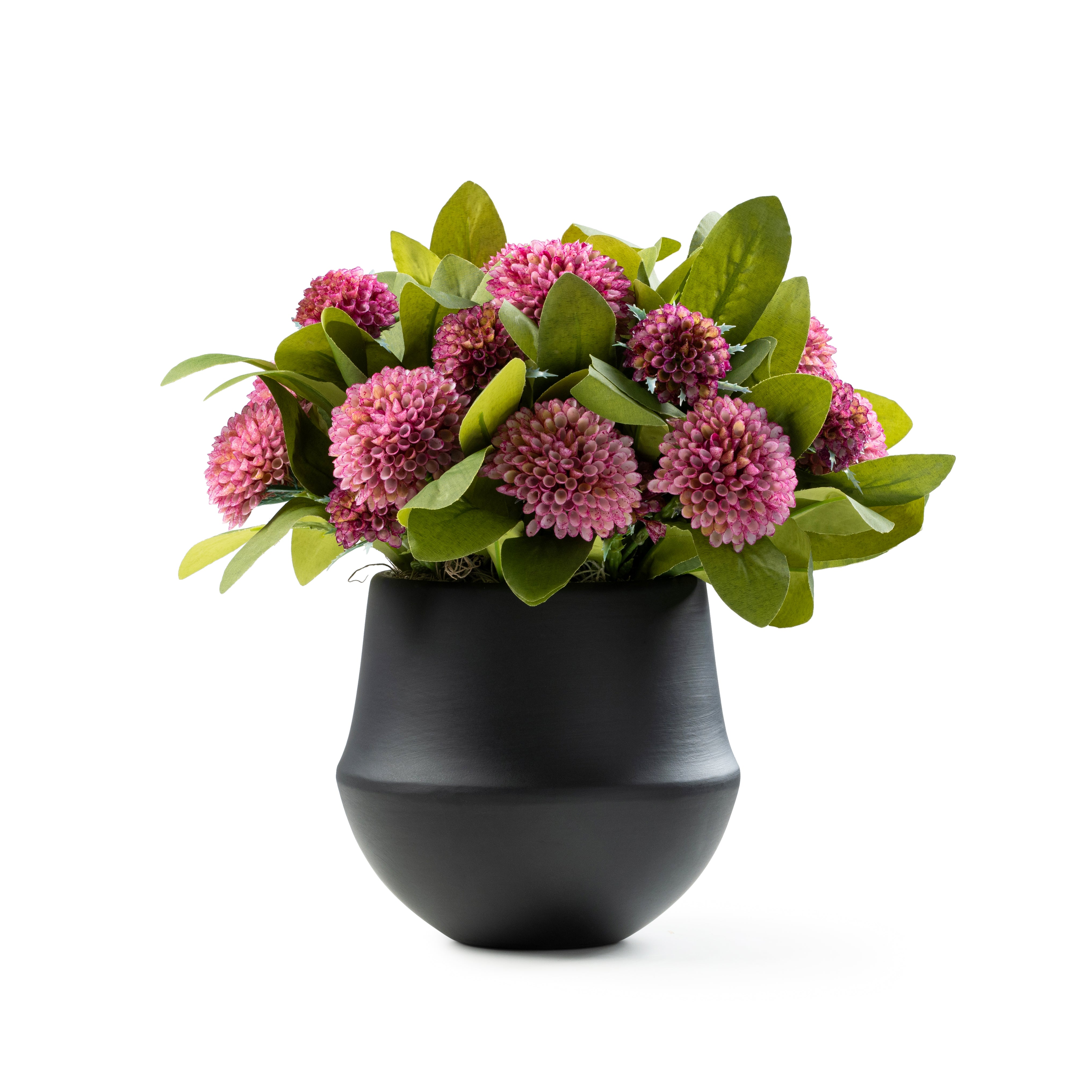 DH Pink Dahlia in Black Pot