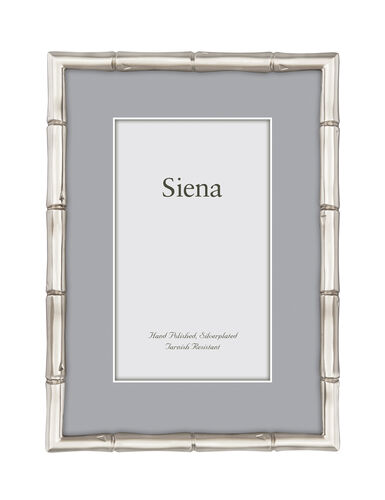 Cast Metal Bamboo Siena Silverplate Frame