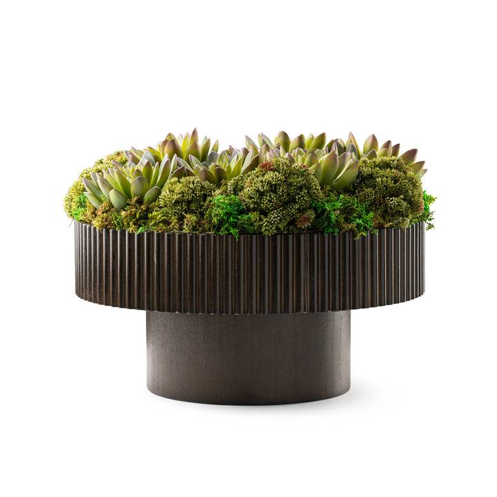 DH Moss & Succulents in Wood Pedestal Pot