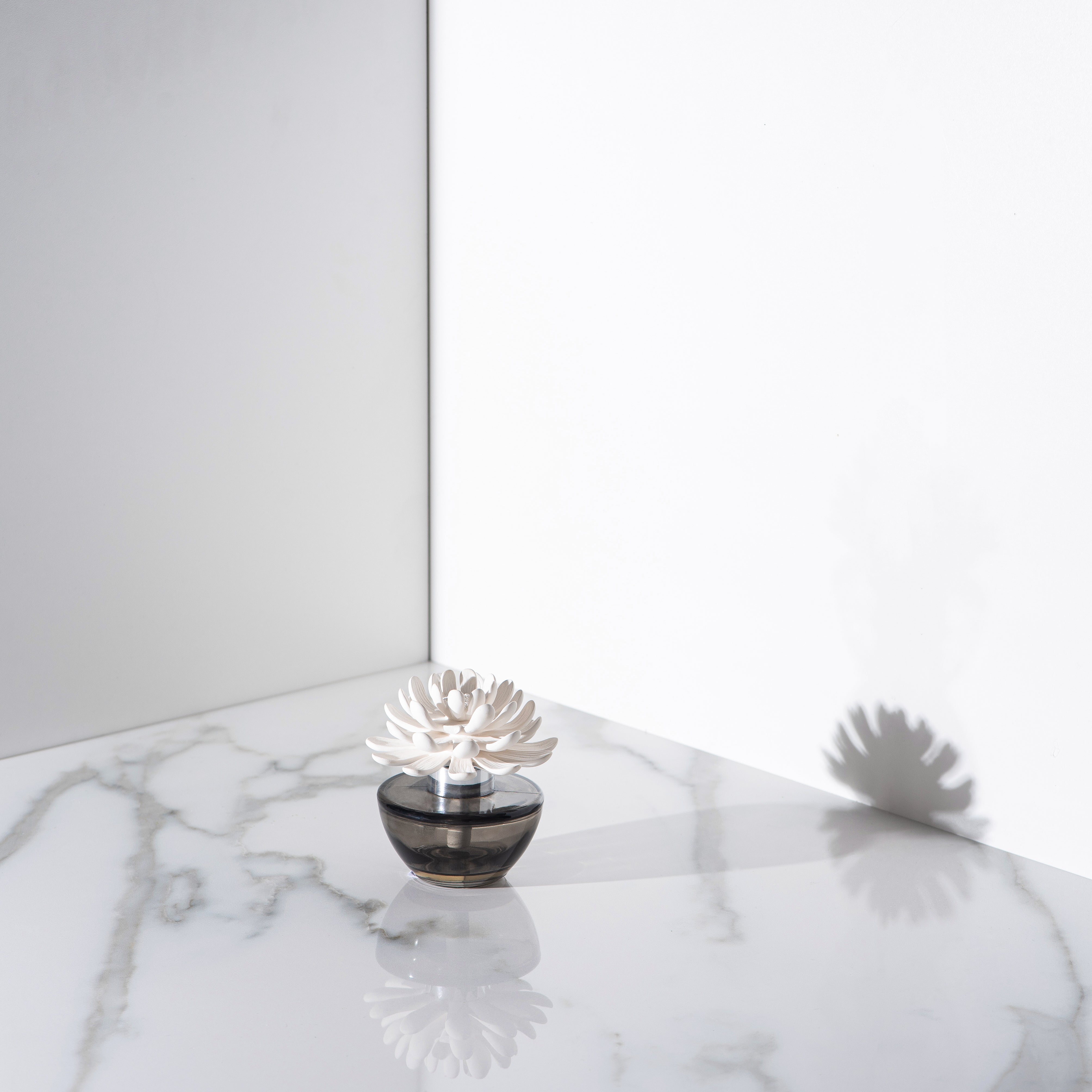 Zodax Illuminaria Porcelain Diffuser