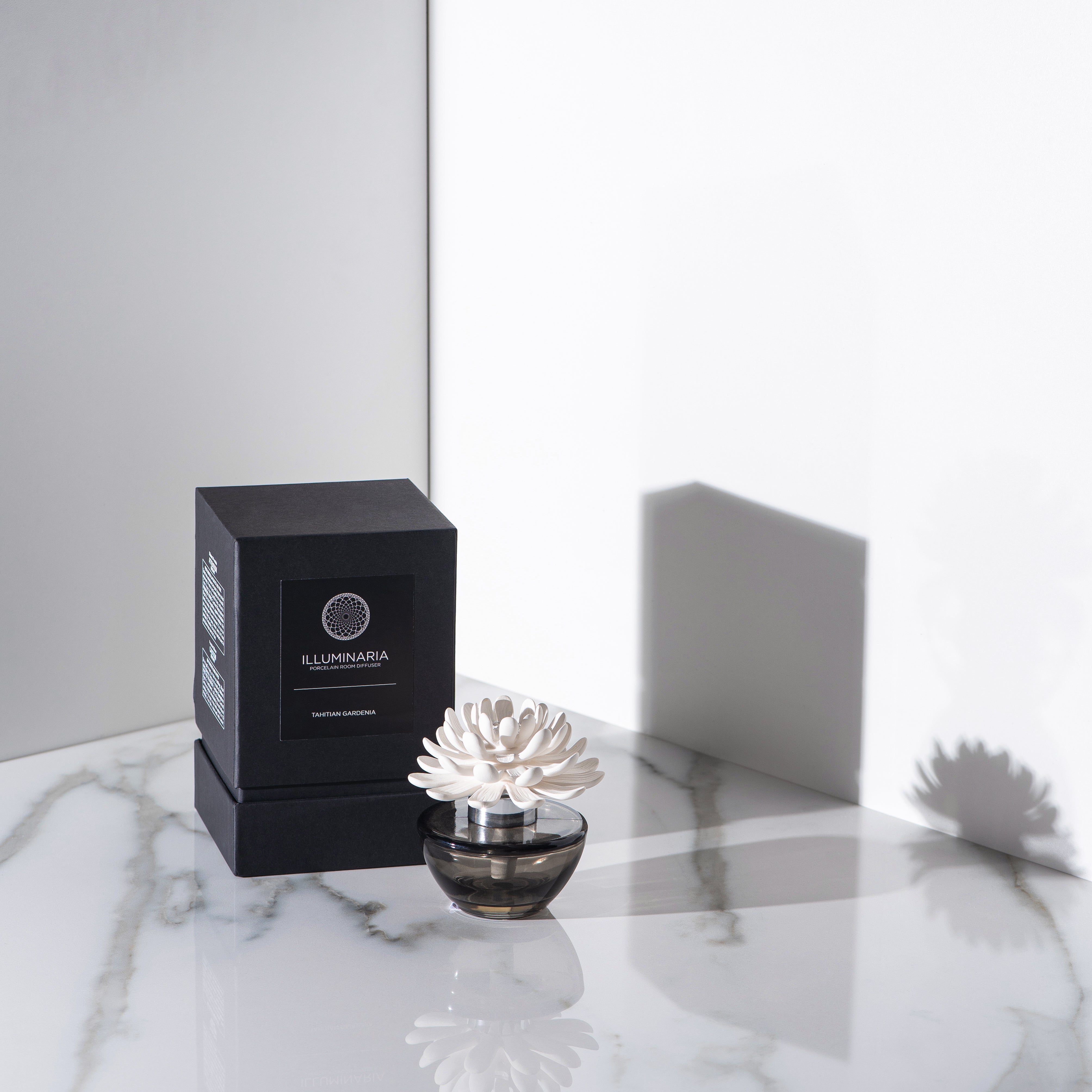 Zodax Illuminaria Porcelain Diffuser