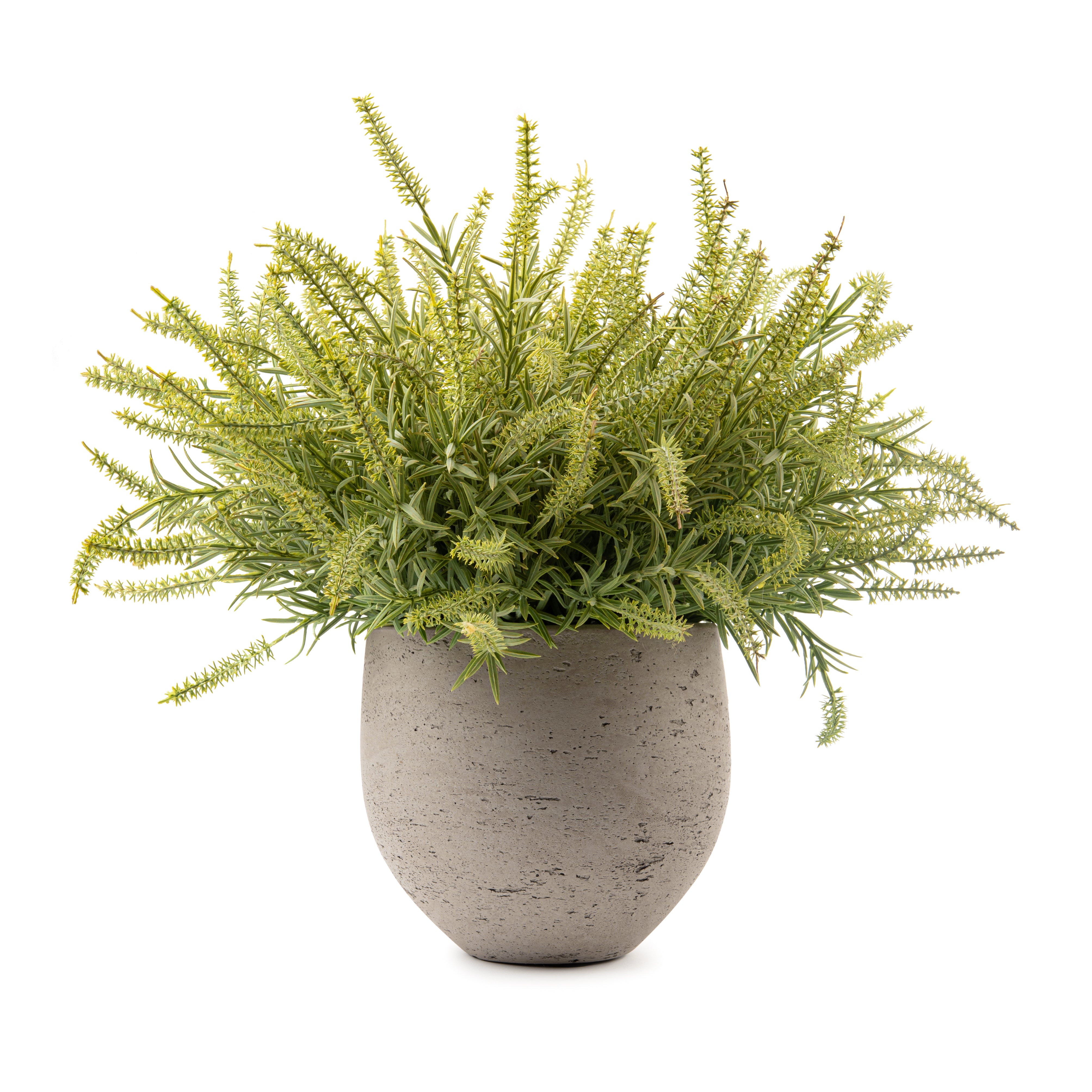 DH Green Ast Bush Orb Pot