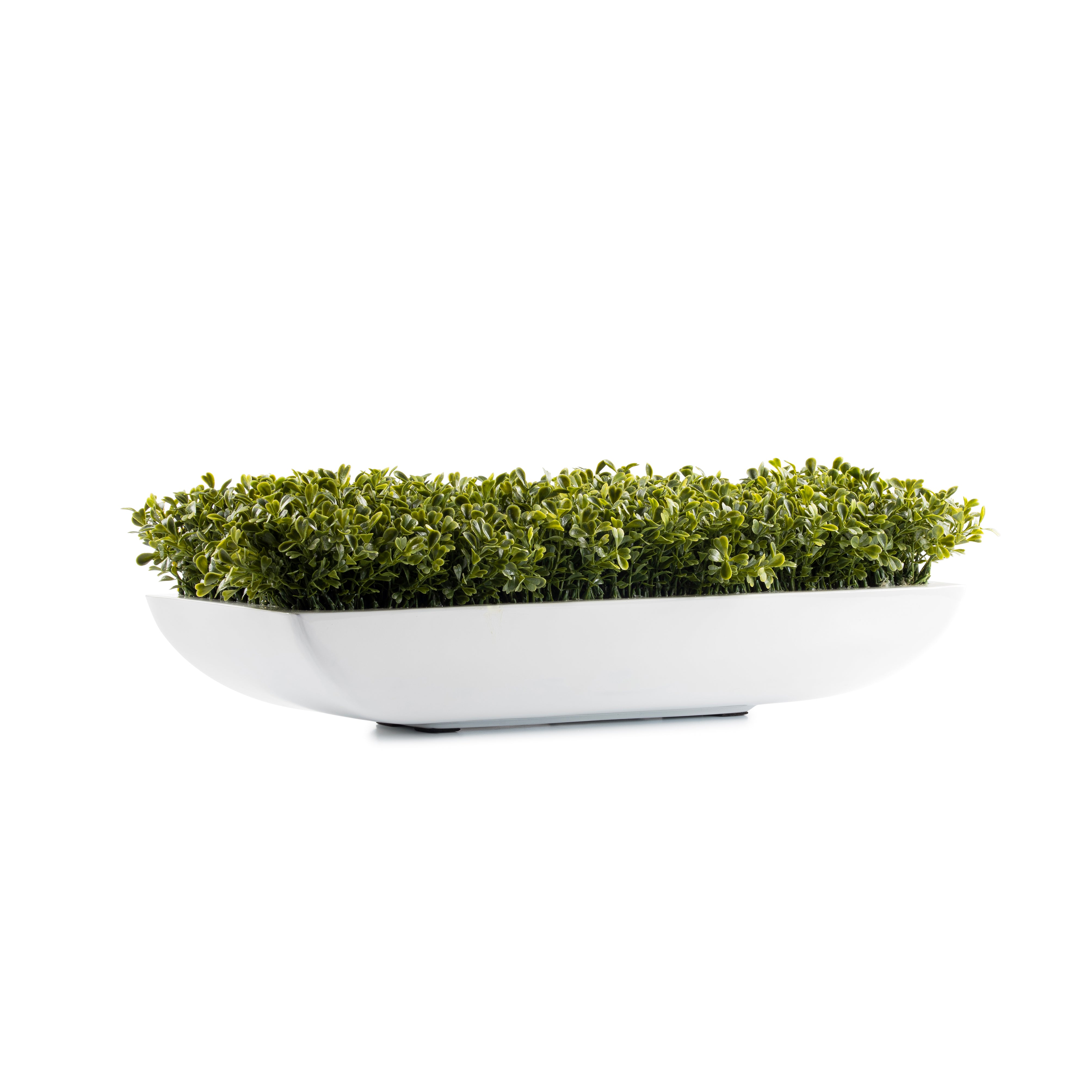 DH Pandora Boxwood Pot