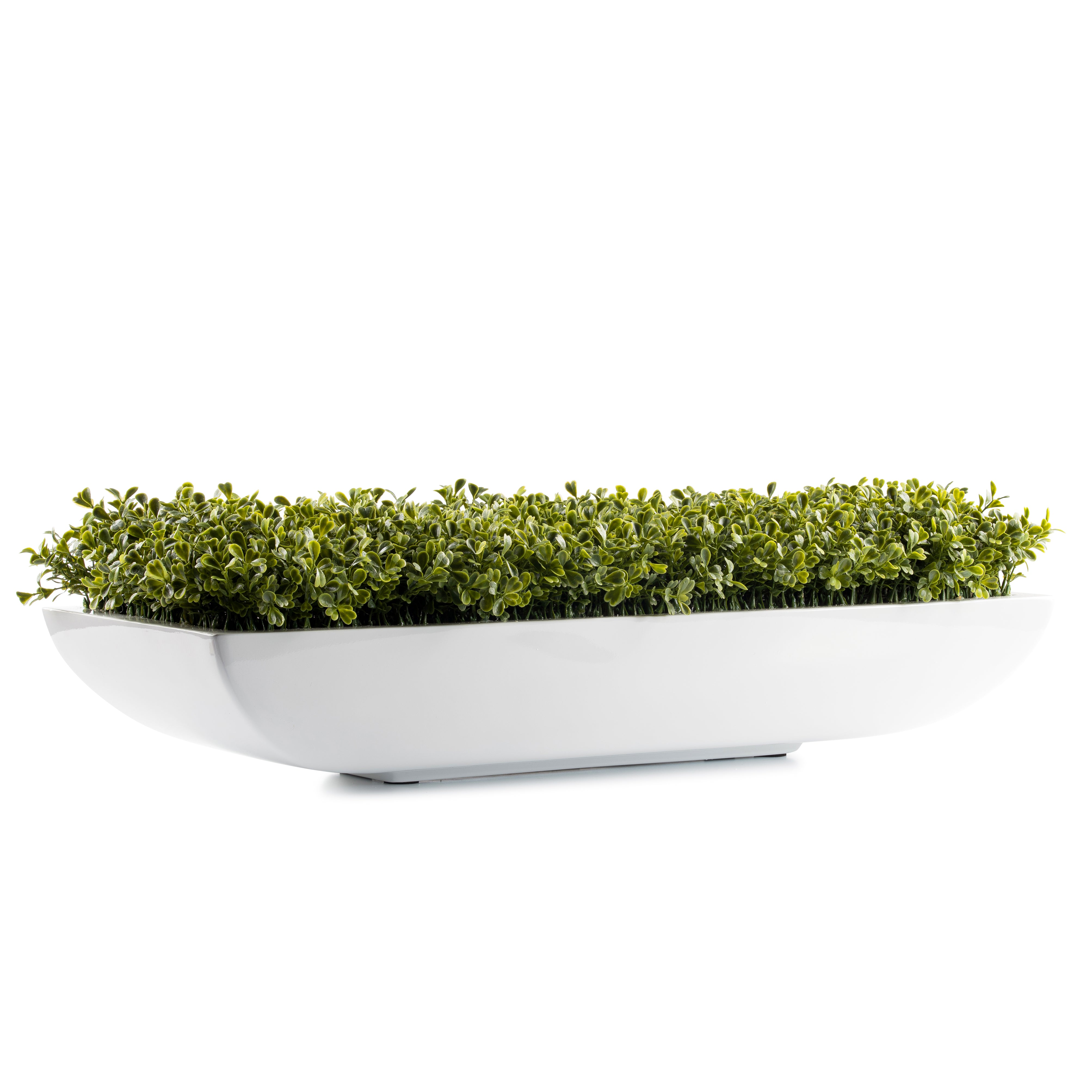 DH Pandora Boxwood Pot